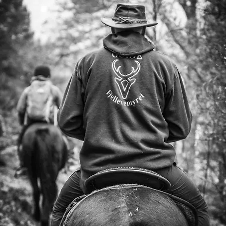 Fjelleventyret Gardsovernatting ファームステイ Skjåk