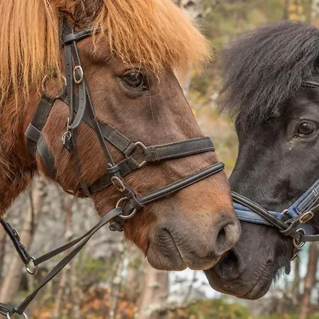 Fjelleventyret Gardsovernatting * Skjak
