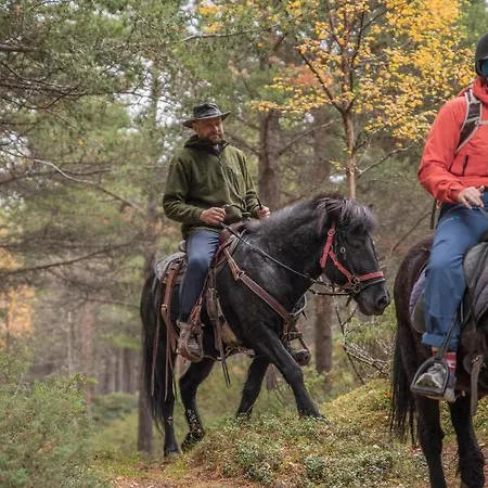 ファームステイ Fjelleventyret Gardsovernatting