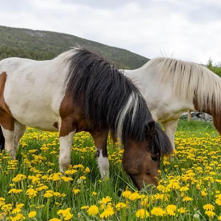 Fjelleventyret Gardsovernatting