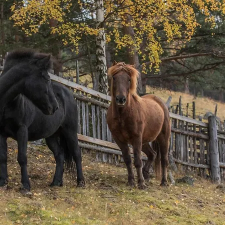 Fjelleventyret Gardsovernatting Farm stay