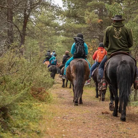Fjelleventyret Gardsovernatting Alojamento de Turismo Rural *