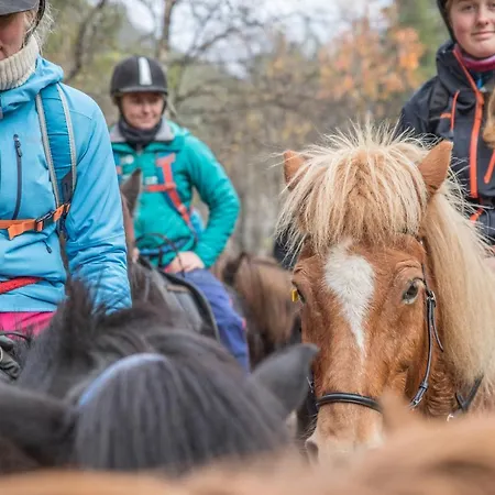 Fjelleventyret Gardsovernatting * Skjåk