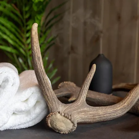 Fjelleventyret Gardsovernatting Gospodarstwo agroturystyczne Skjåk