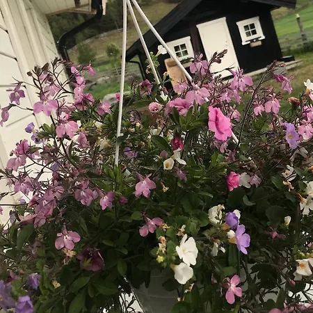 Fjelleventyret Gardsovernatting *