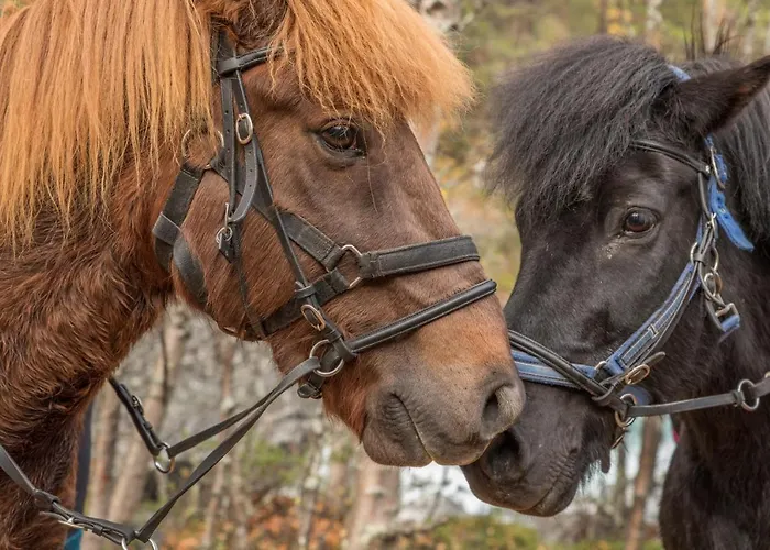 Fjelleventyret Gardsovernatting * Skjåk