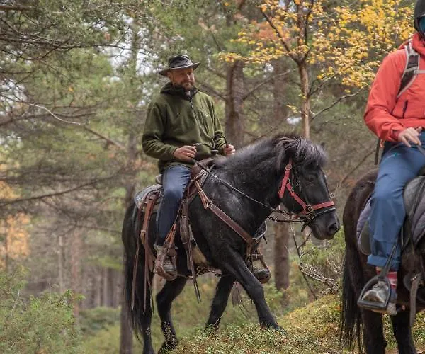 农家乐 Fjelleventyret Gardsovernatting