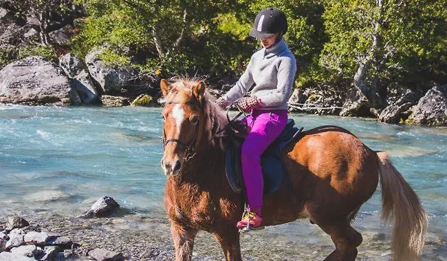 Fjelleventyret Gardsovernatting 农家乐 *