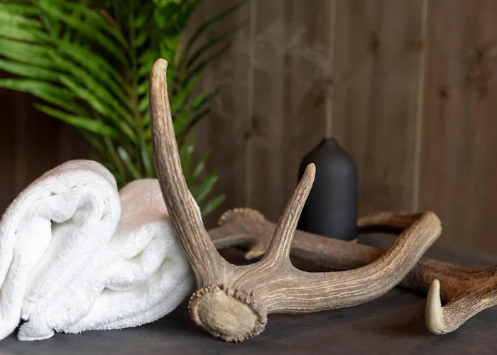 Fjelleventyret Gardsovernatting 农家乐 Skjåk