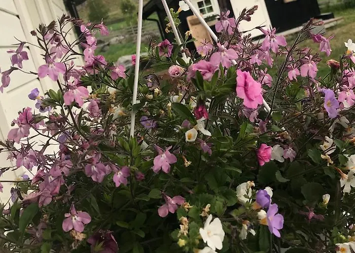 Fjelleventyret Gardsovernatting *