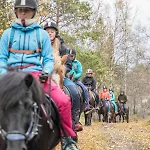 Bauernhof Fjelleventyret Gardsovernatting Skjåk