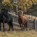 Fjelleventyret Gardsovernatting Bauernhof