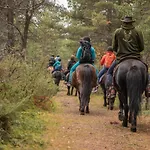 Fjelleventyret Gardsovernatting Bauernhof *