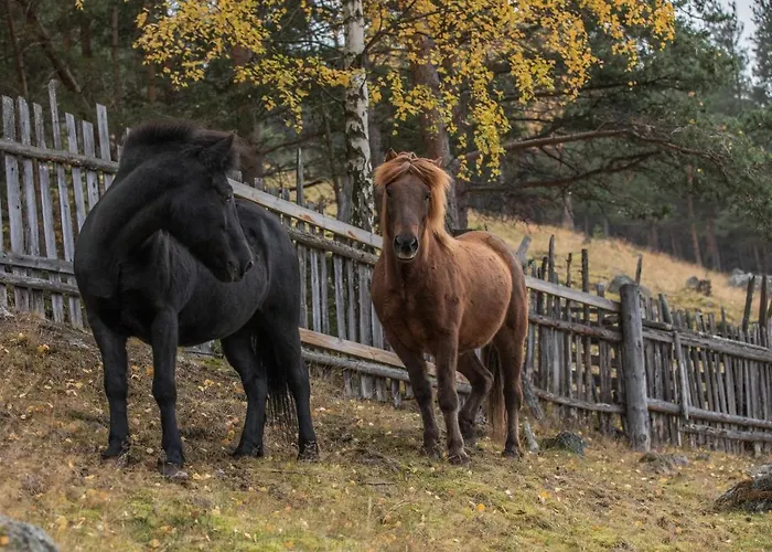 Fjelleventyret Gardsovernatting Séjour à la ferme